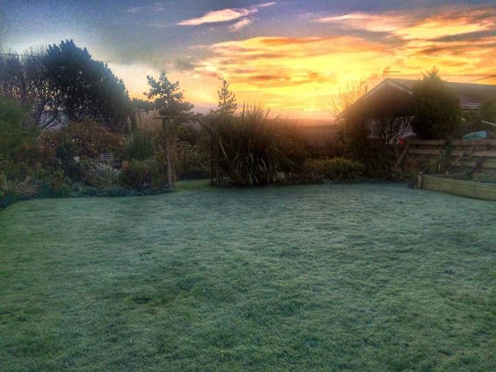 Frosty Sunrise