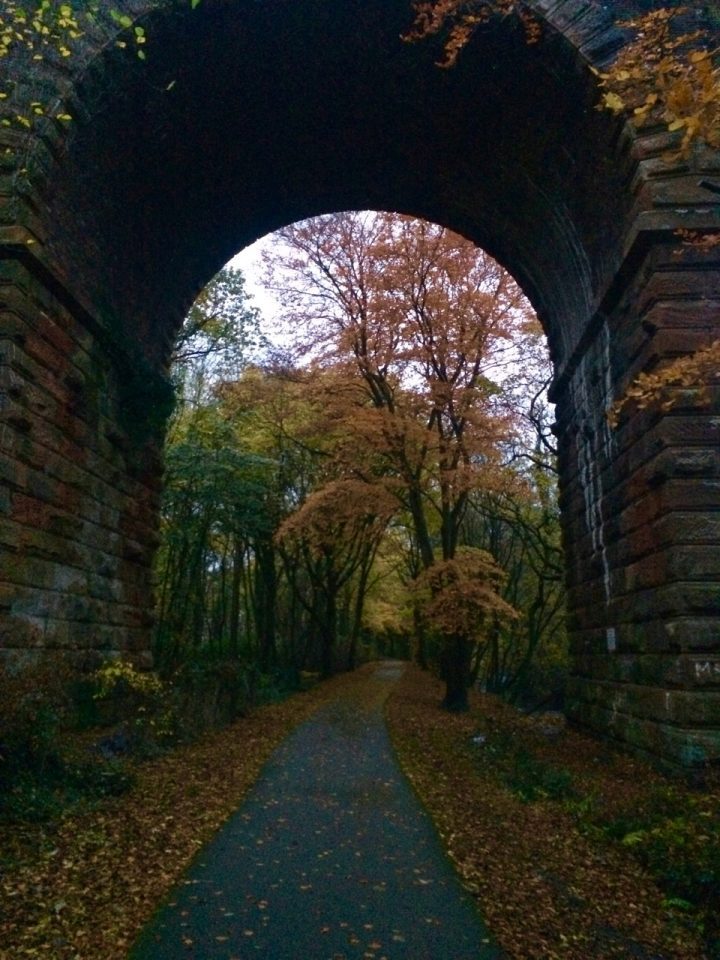 Viaduct in Autumn