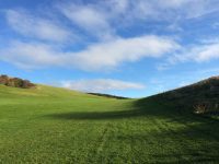 Golf Course