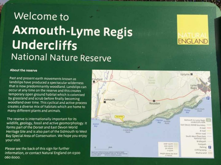 Axmouth-Lyme Regis Undercliffs Nature Reserve