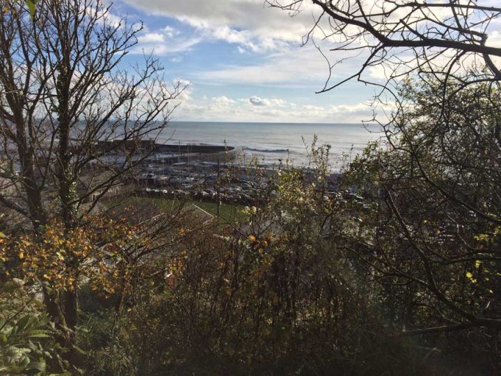 Lyme Regis through the Trees