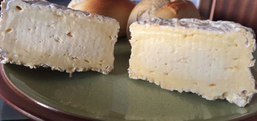 Homemade Camembert