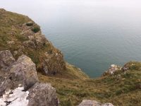 Sea Cliffs