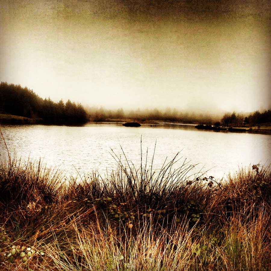 Moody Nant yr Arian