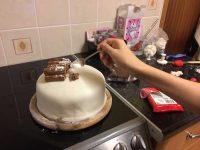 Icing Sugar Snow