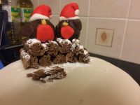 Robins on Log Pile