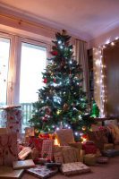 Presents under the tree