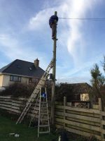 Up the Pole