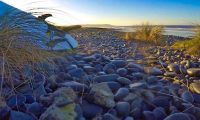 Ynyslas SUP Surfing