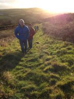 Afternoon Walk