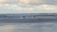 Dip in the Sea