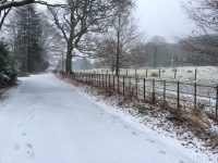 Snow in Machynlleth