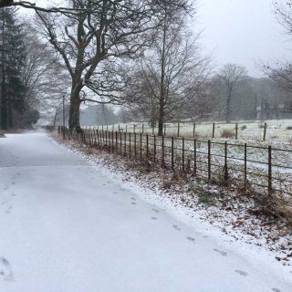 Snow in Machynlleth