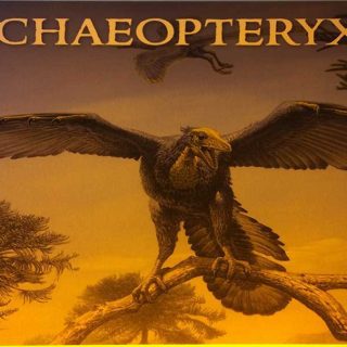 Archaeopteryx Exhibition