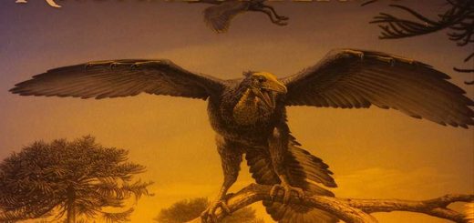 Archaeopteryx Exhibition