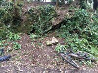 Scene of the crash