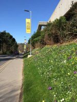 Spring Time on Campus