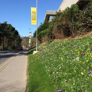 Spring Time on Campus