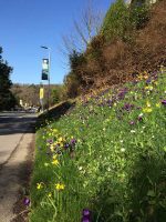 Spring Time on Campus