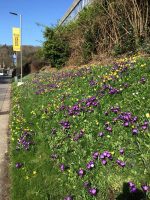 Spring Time on Campus