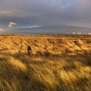 Ayres Dunes