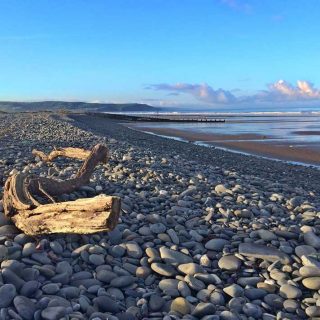 Driftwood at Ynyslas