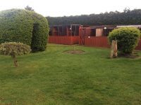 Owl Garden