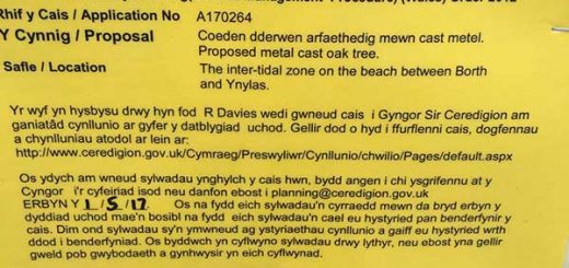 Planning Notice for Oak Tree Sculpture