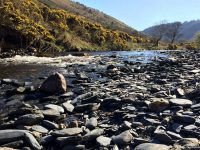 River