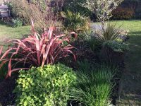 Spring Border