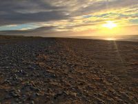 The Beach
