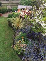 The Garden