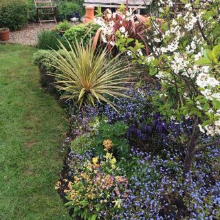 The Garden