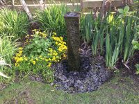 The Water Feature