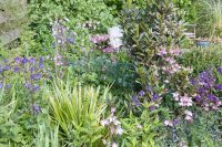 Cottage Garden