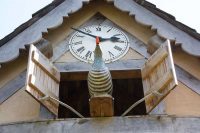 Cuckoo Clock