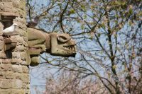 Gargoyle