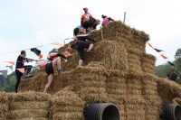 Climbing the Bales