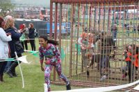 Mini Mudder Obstacles