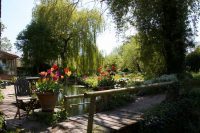 Into the Garden