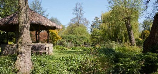 Summer House