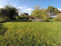 The Back Garden