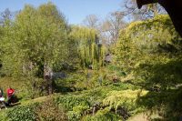 View from the Cuckoo Clock