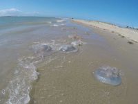 Washed Up
