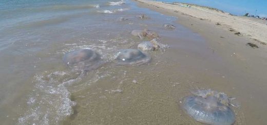 Washed Up