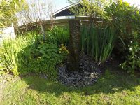 Water Feature