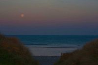 Ynyslas