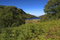 Llyn Crafnant from the South
