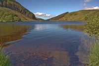 Llyn Geirionydd in the Sunshine