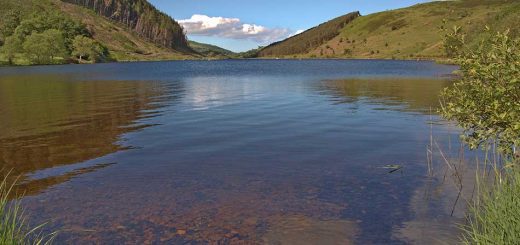 Llyn Geirionydd in the Sunshine